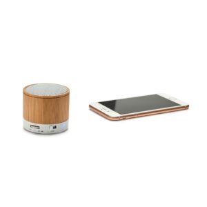 CAIXA DE SOM COM MICROFONE – Caixa de som com microfone Bambu com transmissão por bluetooth,
